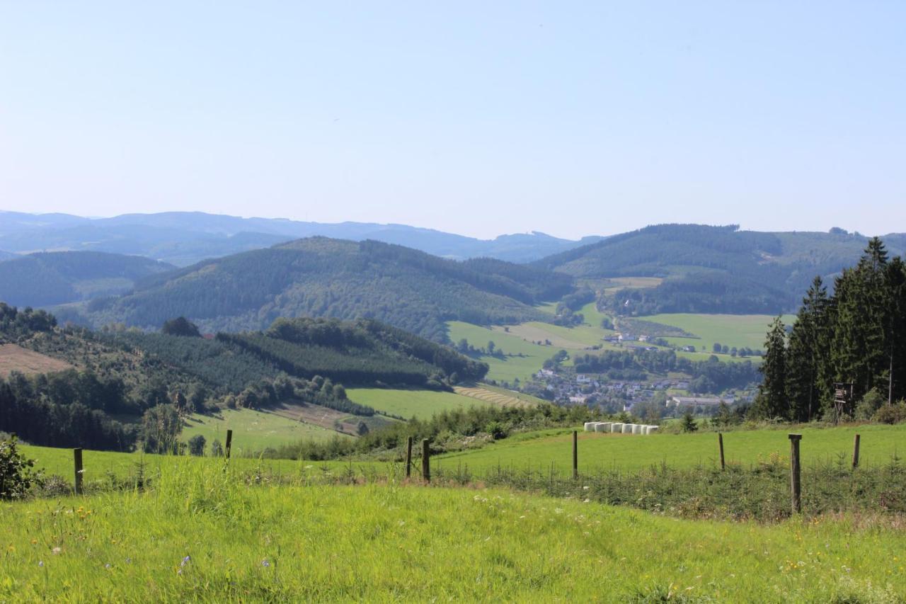 Haus Bergeshoeh Hochsauerland Eslohe Kültér fotó