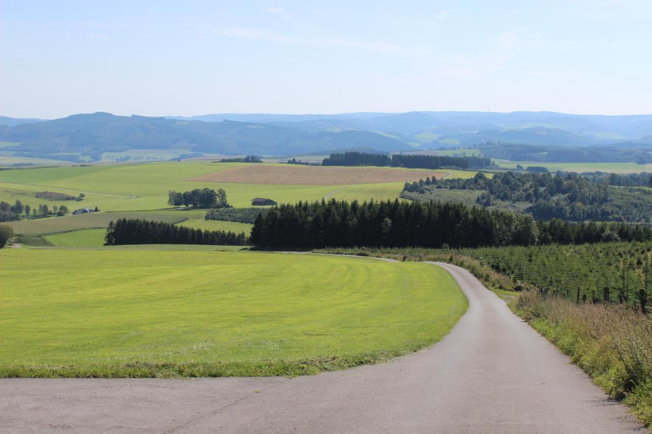 Haus Bergeshoeh Hochsauerland Eslohe Kültér fotó